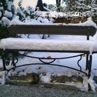 valga-church by16 153